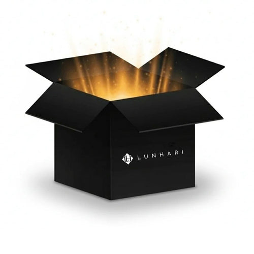 Mystery Holiday Gift